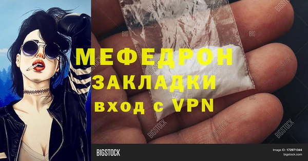 сатива Инта