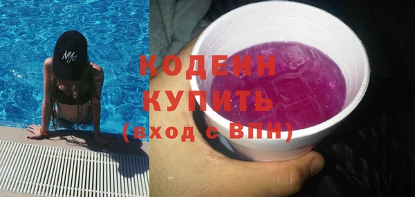 сатива Инта
